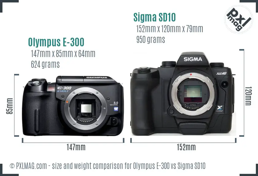 Olympus E-300 vs Sigma SD10 size comparison