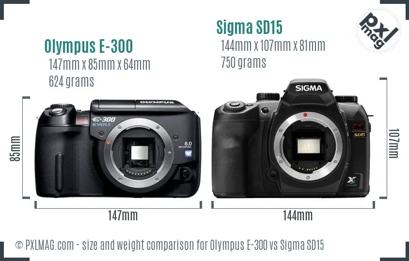 Olympus E-300 vs Sigma SD15 size comparison