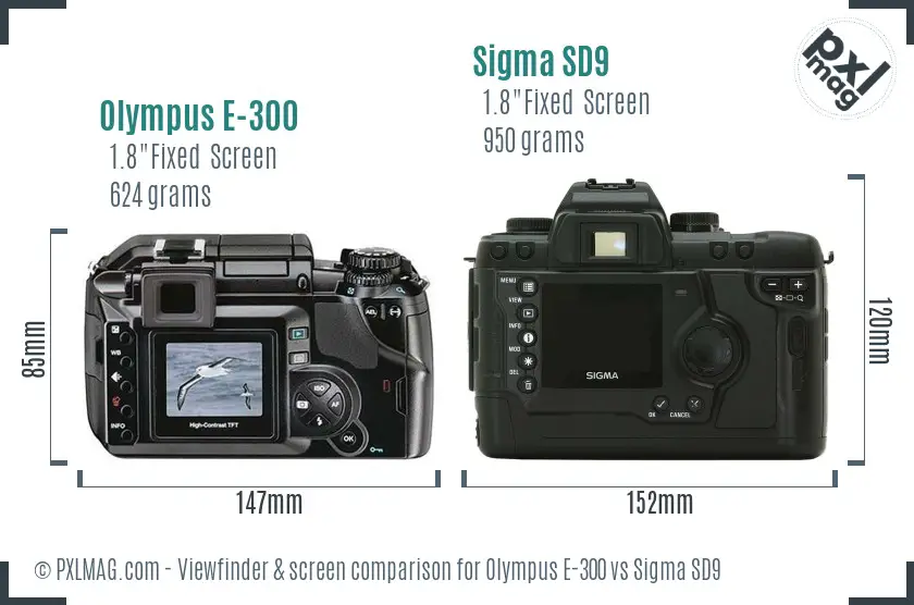 Olympus E-300 vs Sigma SD9 Screen and Viewfinder comparison