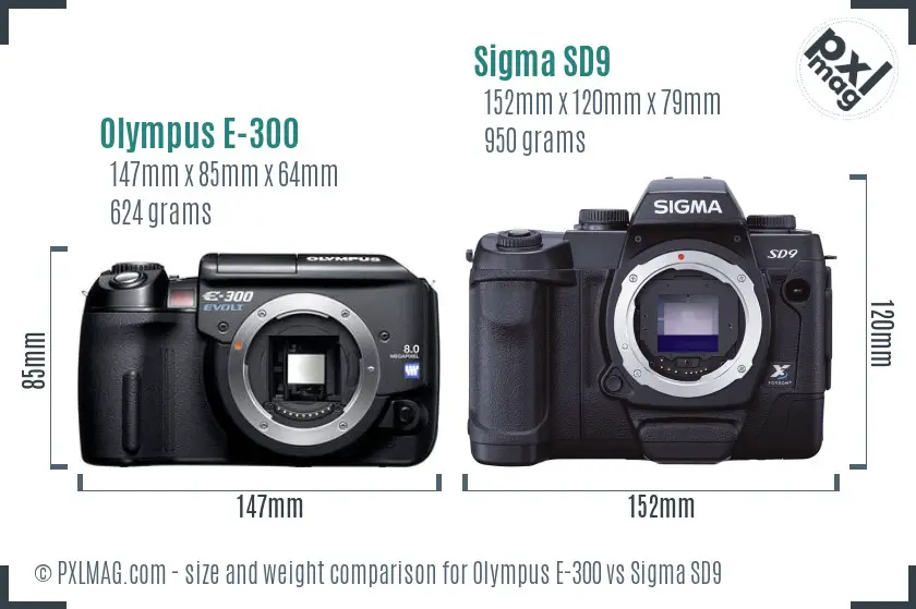 Olympus E-300 vs Sigma SD9 size comparison