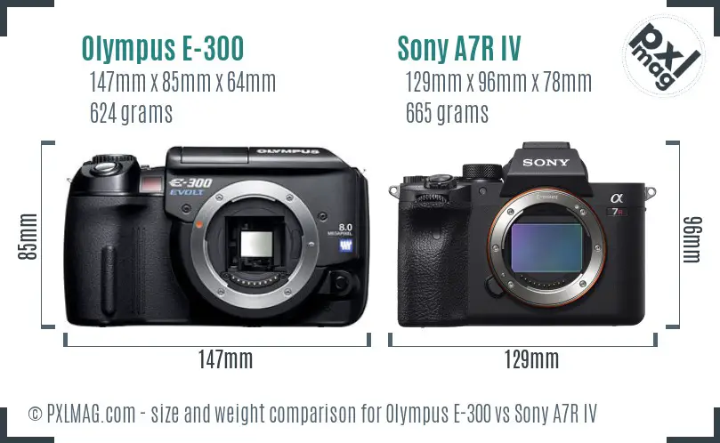 Olympus E-300 vs Sony A7R IV size comparison