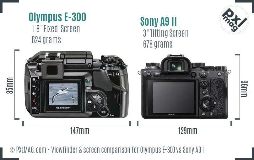 Olympus E-300 vs Sony A9 II Screen and Viewfinder comparison