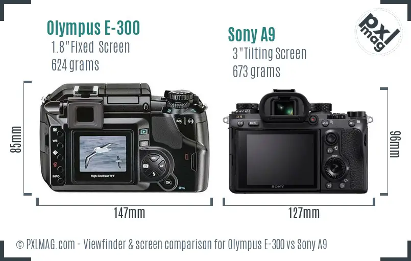 Olympus E-300 vs Sony A9 Screen and Viewfinder comparison