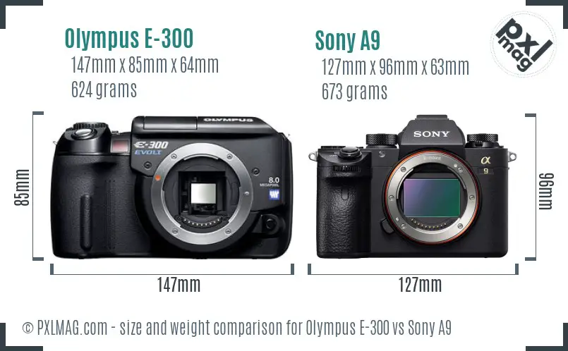 Olympus E-300 vs Sony A9 size comparison