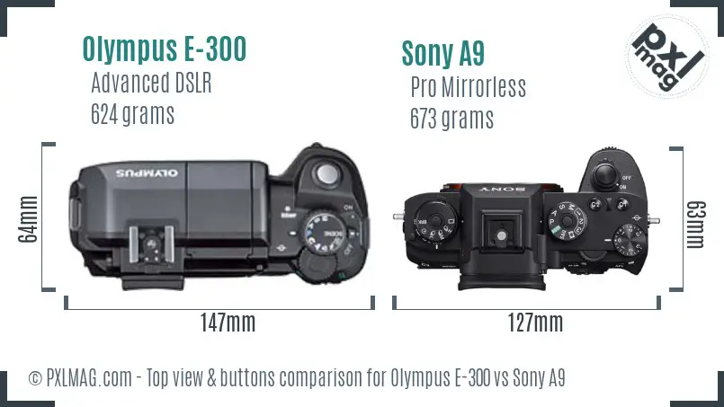 Olympus E-300 vs Sony A9 top view buttons comparison