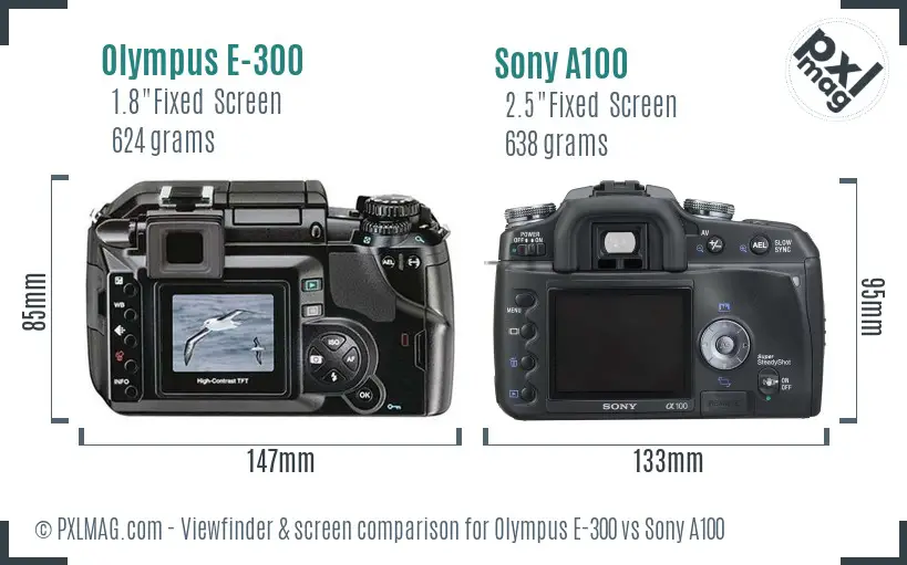 Olympus E-300 vs Sony A100 Screen and Viewfinder comparison