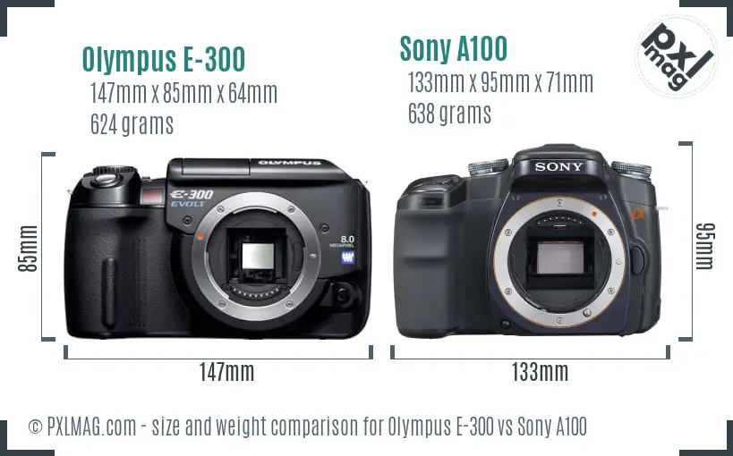 Olympus E-300 vs Sony A100 size comparison