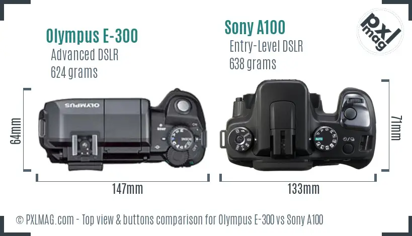 Olympus E-300 vs Sony A100 top view buttons comparison