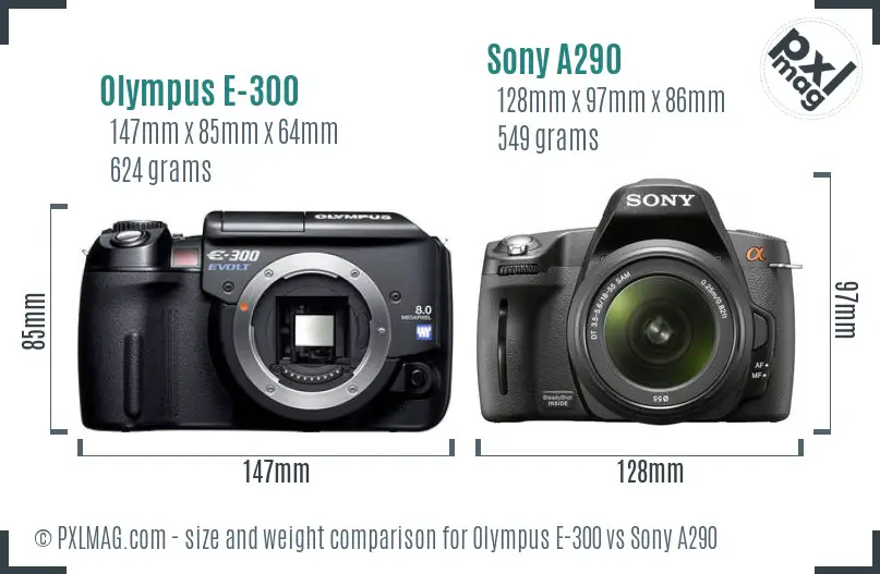 Olympus E-300 vs Sony A290 size comparison