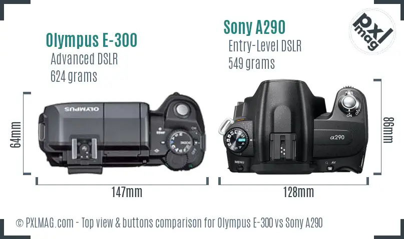 Olympus E-300 vs Sony A290 top view buttons comparison