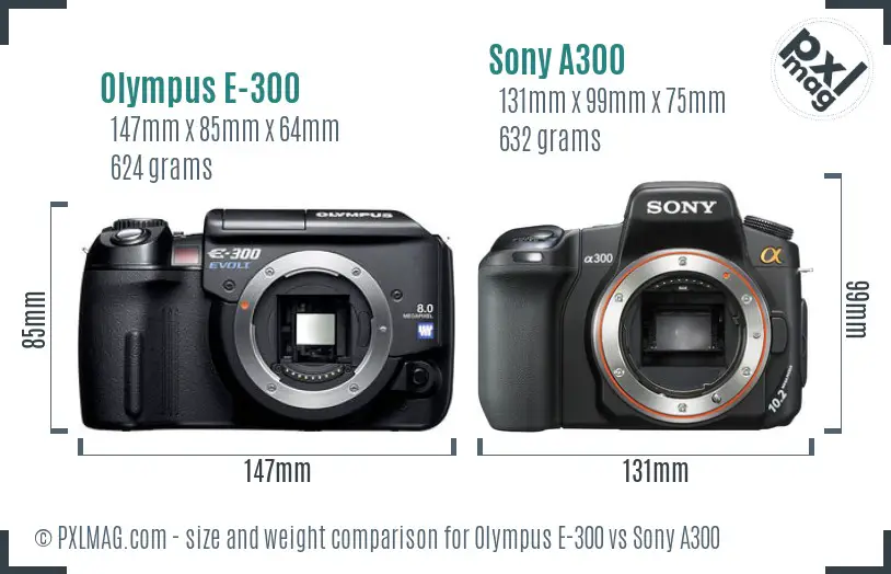 Olympus E-300 vs Sony A300 size comparison