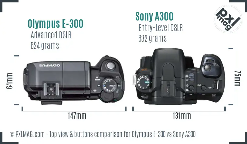 Olympus E-300 vs Sony A300 top view buttons comparison