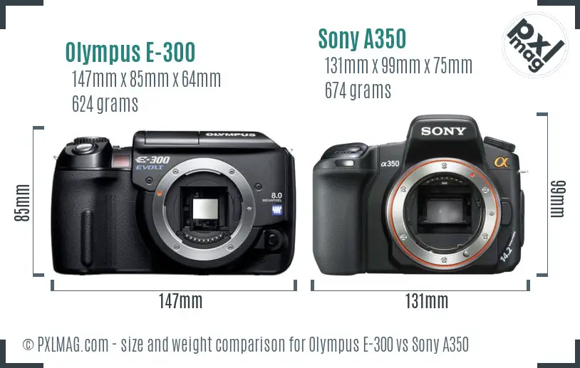 Olympus E-300 vs Sony A350 size comparison