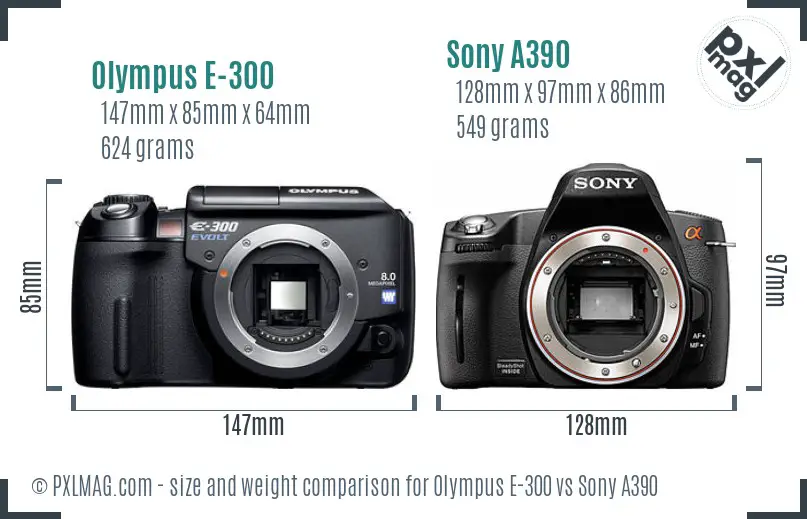 Olympus E-300 vs Sony A390 size comparison