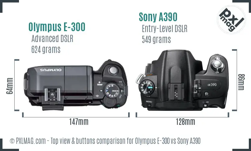 Olympus E-300 vs Sony A390 top view buttons comparison