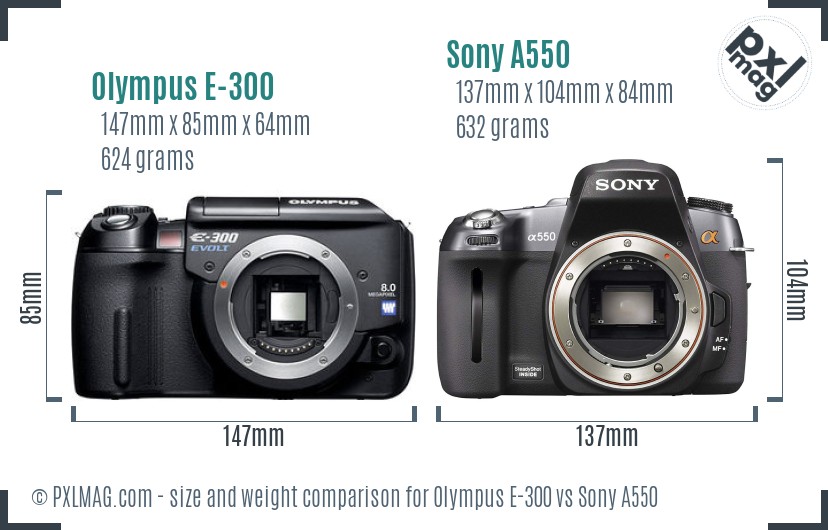 Olympus E-300 vs Sony A550 size comparison