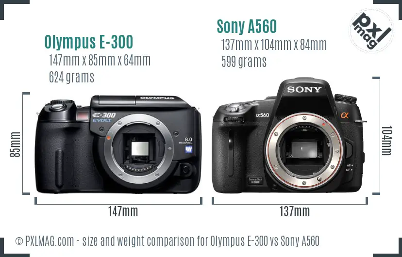 Olympus E-300 vs Sony A560 size comparison