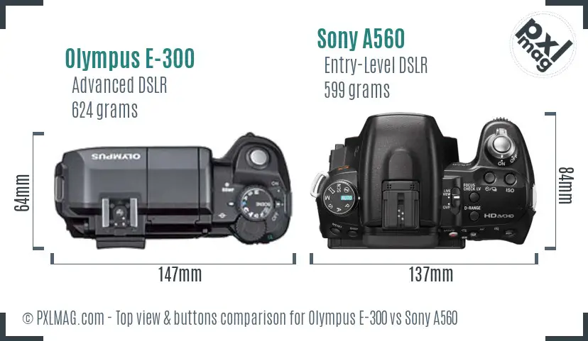 Olympus E-300 vs Sony A560 top view buttons comparison