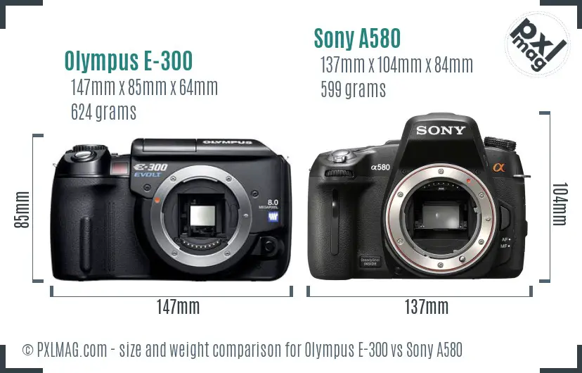 Olympus E-300 vs Sony A580 size comparison