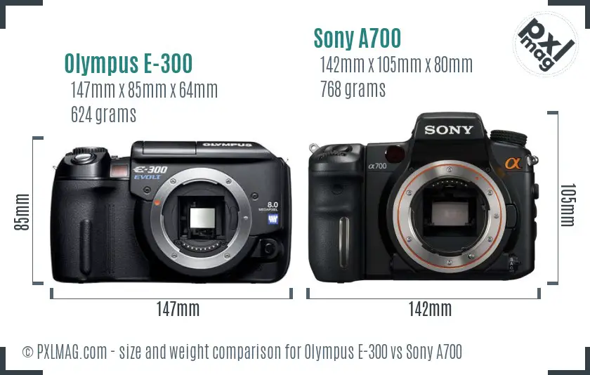Olympus E-300 vs Sony A700 size comparison