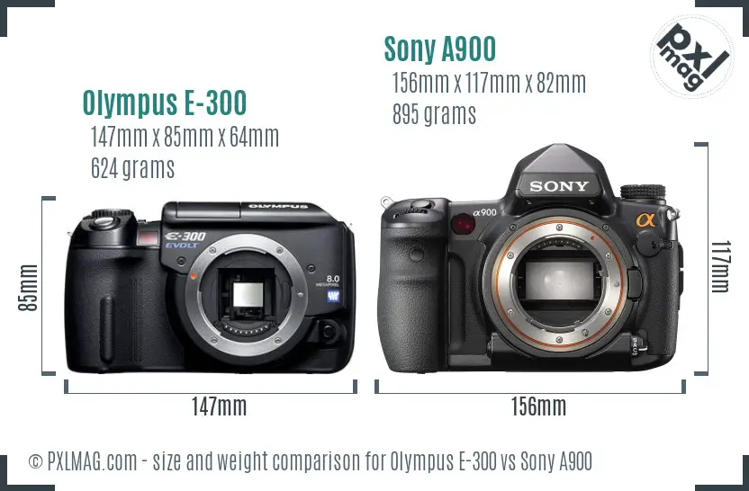 Olympus E-300 vs Sony A900 size comparison