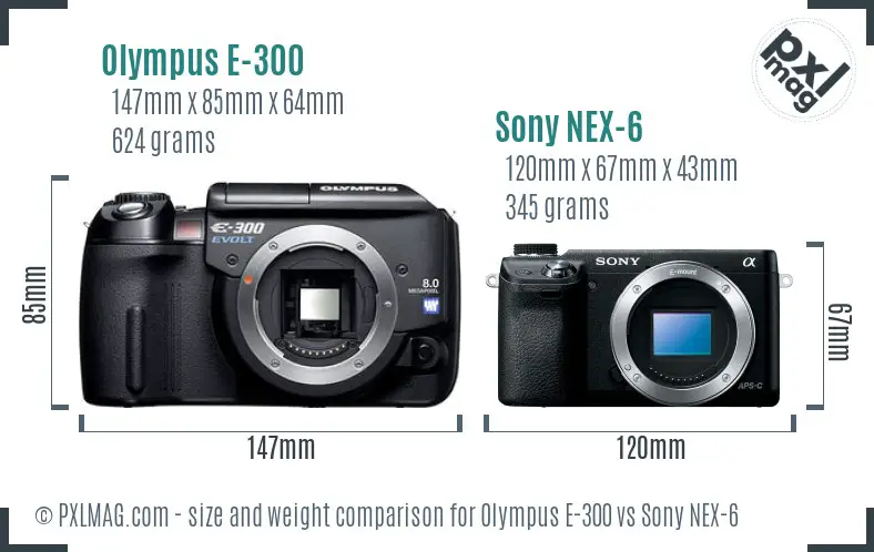 Olympus E-300 vs Sony NEX-6 size comparison