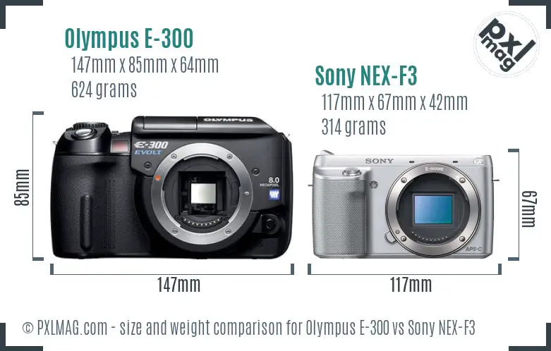 Olympus E-300 vs Sony NEX-F3 size comparison