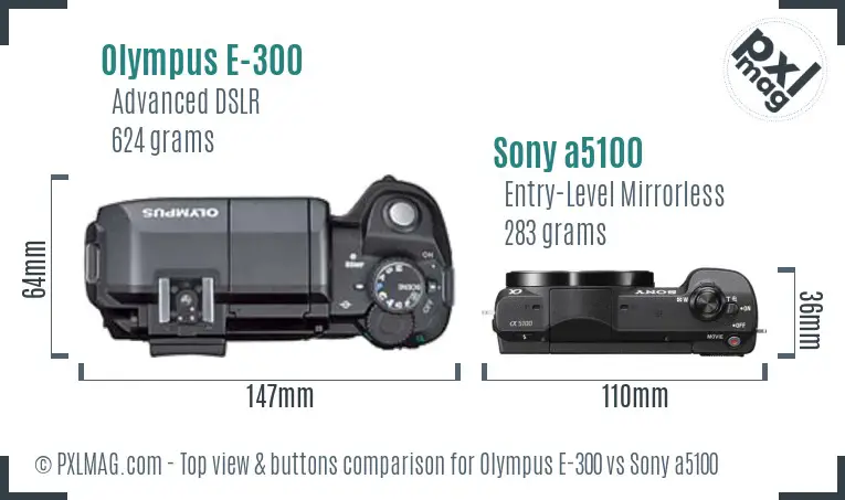 Olympus E-300 vs Sony a5100 top view buttons comparison