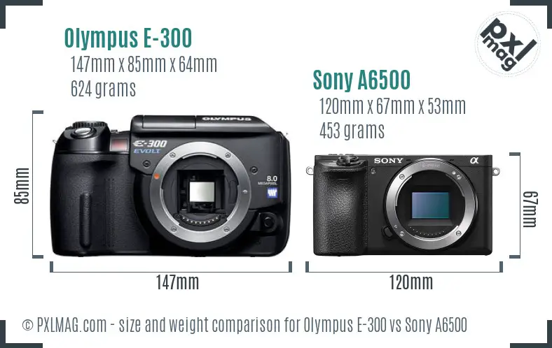 Olympus E-300 vs Sony A6500 size comparison