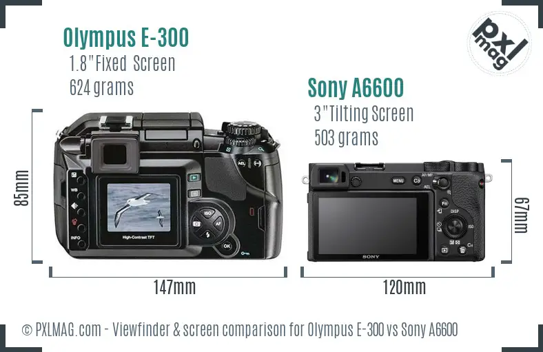 Olympus E-300 vs Sony A6600 Screen and Viewfinder comparison