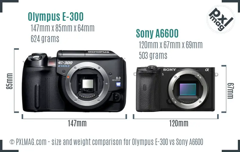 Olympus E-300 vs Sony A6600 size comparison
