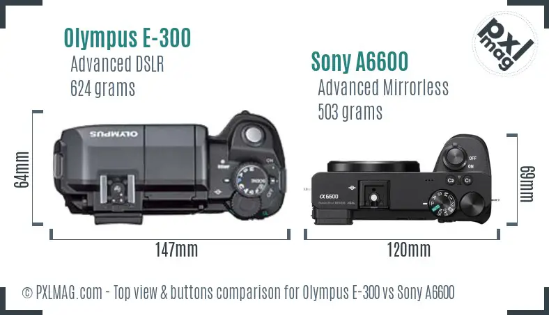 Olympus E-300 vs Sony A6600 top view buttons comparison