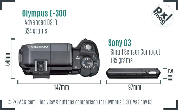 Olympus E-300 vs Sony G3 top view buttons comparison