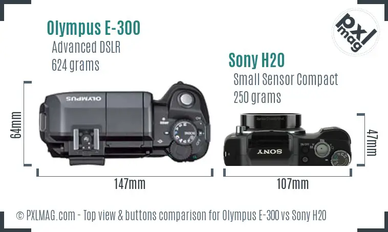 Olympus E-300 vs Sony H20 top view buttons comparison