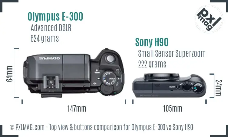 Olympus E-300 vs Sony H90 top view buttons comparison
