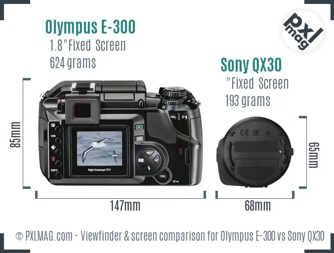 Olympus E-300 vs Sony QX30 Screen and Viewfinder comparison