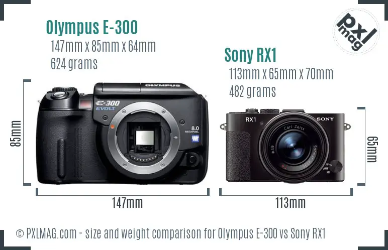 Olympus E-300 vs Sony RX1 size comparison