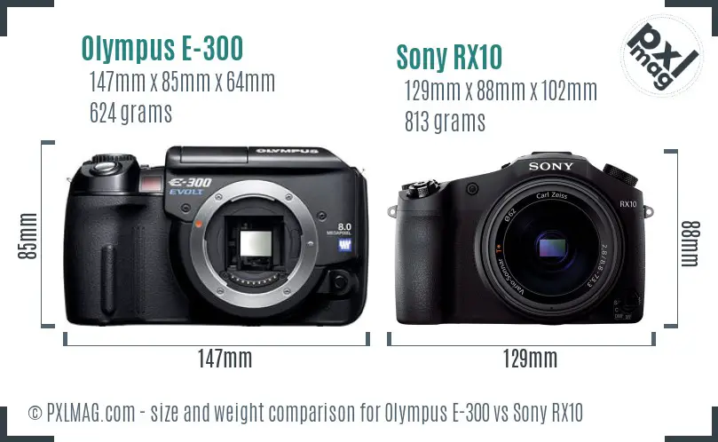 Olympus E-300 vs Sony RX10 size comparison