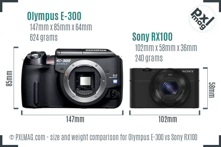 Olympus E-300 vs Sony RX100 size comparison
