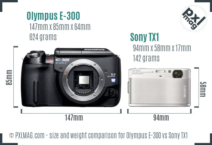 Olympus E-300 vs Sony TX1 size comparison
