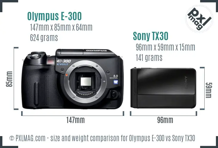 Olympus E-300 vs Sony TX30 size comparison