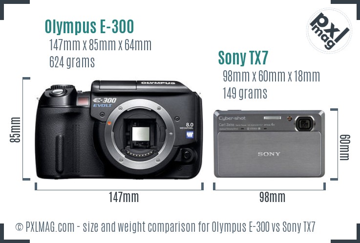 Olympus E-300 vs Sony TX7 size comparison