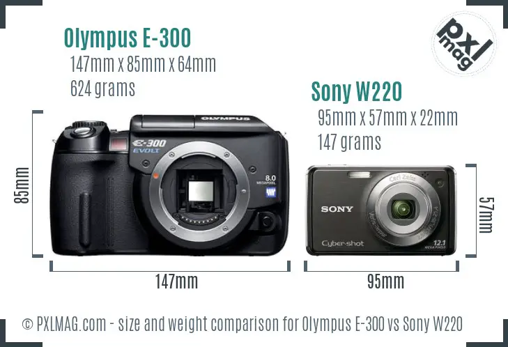 Olympus E-300 vs Sony W220 size comparison