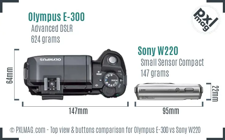 Olympus E-300 vs Sony W220 top view buttons comparison