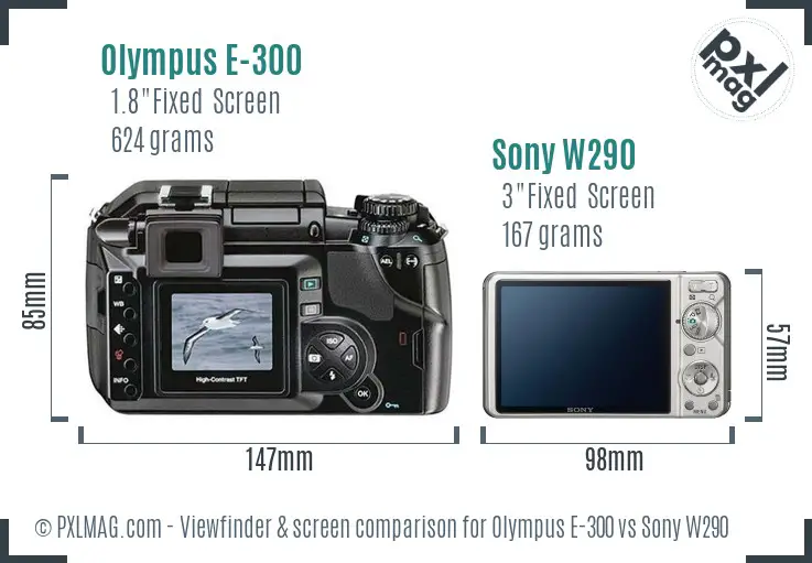 Olympus E-300 vs Sony W290 Screen and Viewfinder comparison