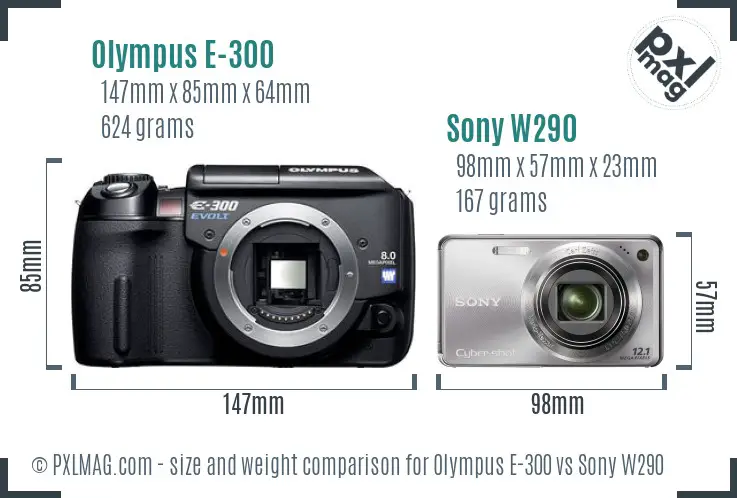 Olympus E-300 vs Sony W290 size comparison