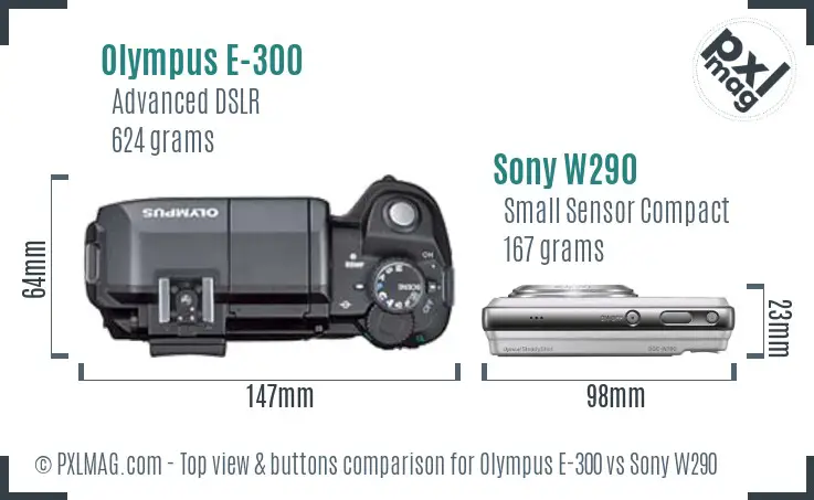 Olympus E-300 vs Sony W290 top view buttons comparison