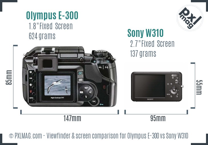 Olympus E-300 vs Sony W310 Screen and Viewfinder comparison