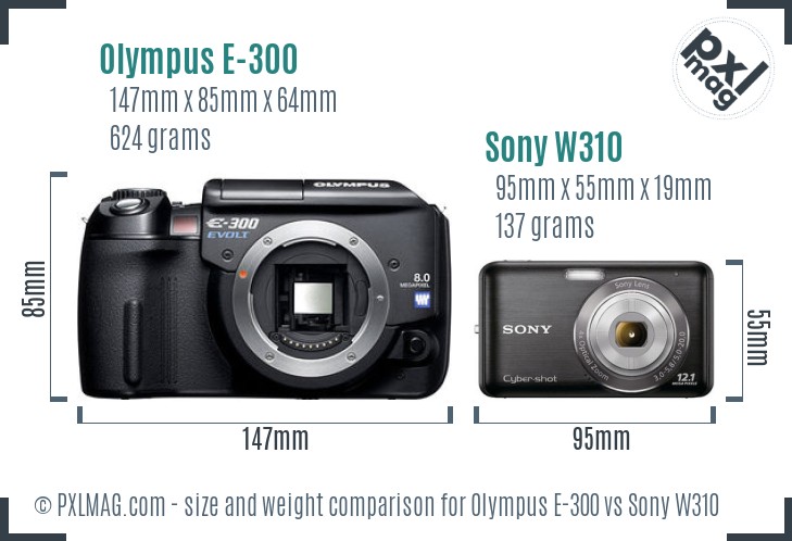 Olympus E-300 vs Sony W310 size comparison