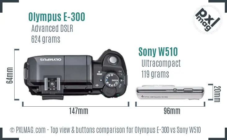 Olympus E-300 vs Sony W510 top view buttons comparison